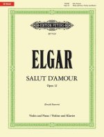 SALUT DAMOUR VIOLON