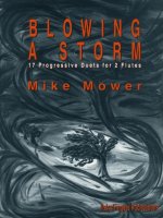 BLOWING A STORM FLUTE TRAVERSIERE