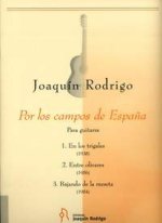 POR LOS CAMPOS DE ESPANA GUITARE