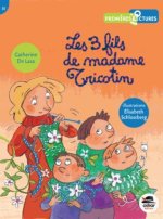 LES TROIS FILS DE MADAME TRICOTIN
