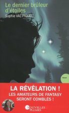 Le dernier brûleur d'étoiles
