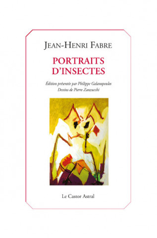 Portraits d'insecte