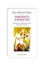 Portraits d'insecte