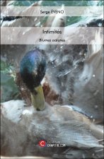 Intimités - Brumes océanes
