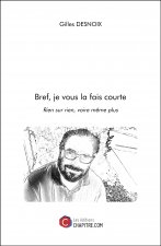 Bref, je vous la fais courte - Rien sur rien, voire même plus