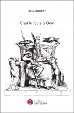 C'est la faute à Odin