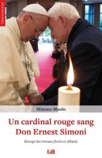 Un cardinal rouge sang