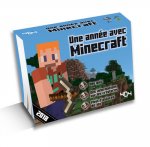 Une année avec Minecraft