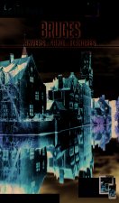 bruges 2017 petit fute + offre num + plan