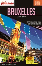 Guide Bruxelles 2017-2018 City trip Petit Futé