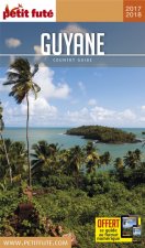 guyane 2017 petit fute + offre num