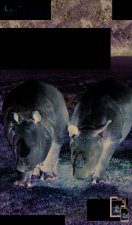 parcs animaliers 2017 petit fute + offre num