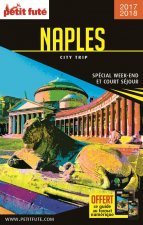 naples 2017 city trip petit fute + offre num
