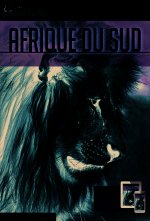 afrique du sud 2018 carnet petit fute + offre num