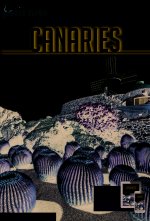 Guide Canaries 2018 Carnet Petit Futé