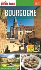 bourgogne 2018 petit fute + offre num