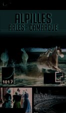 alpilles - camargue - arles 2018-2019 petit fute + offre num