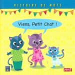 Viens petit chat