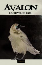 AVALON  Le chevalier d'or : Reliquaire troisième tome 2