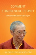 Comment comprendre l'esprit