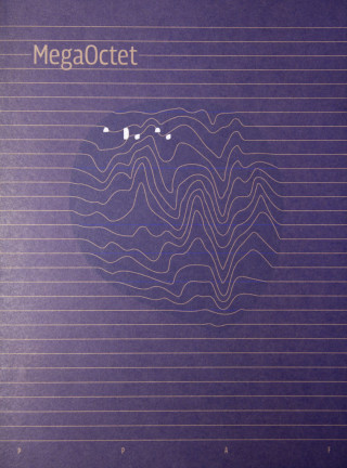 MegaOctet Verbateam