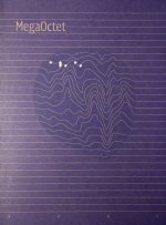 MegaOctet Verbateam