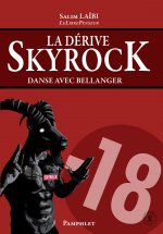 La dérive Skyrock - danse avec Bellanger