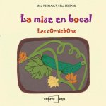 La mise en bocal les cornichons