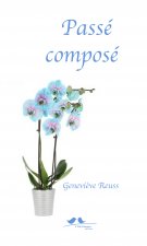 Passé composé - une enfance versaillaise
