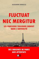 Fluctuat nec mergitur