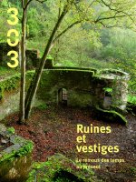 RUINES ET VESTIGES : le remous des temps au présent
