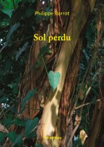 Sol perdu