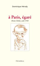 A Paris égaré