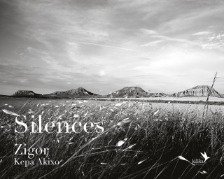 Silences