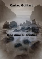 UNE ÂME SI SOMBRE ( Poche)