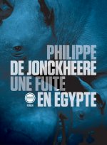 UNE FUITE EN EGYPTE