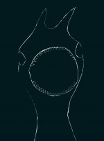 Venus du jamais mort - 2011-2018