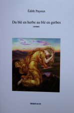Du blé en herbe au blé en gerbes