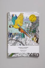 CAHIER A COLORIER ANIMAUX DU CIEL