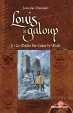 Louis le Galoup - Tome 3 - Les Maîtres des Tours de Merle