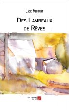 Des Lambeaux de Rêves