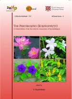 The Perunkurinci (Kurincippattu)