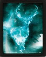 3D obraz Harry Potter Patron