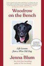 Woodrow on the Bench