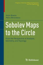 Sobolev Maps to the Circle