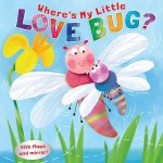 Where's My Little Love Bug?: A Mirror Book