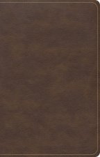 CSB Single-Column Compact Bible, Brown Leathertouch