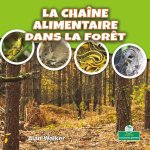 La Chaîne Alimentaire Dans La For?t (Food Chain in a Forest)