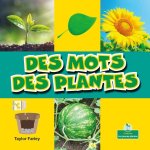 Des Mots Des Plantes (Plant Words)