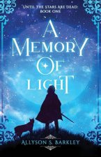 Memory of Light